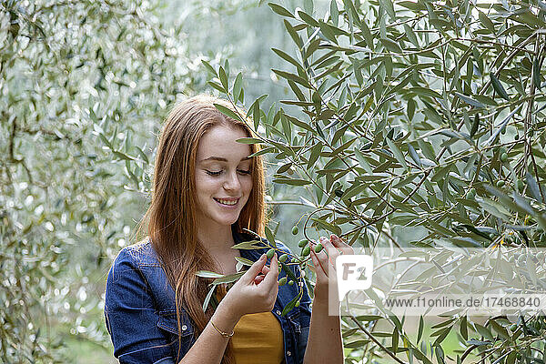 Smiling young woman examining olives on tree at countryside