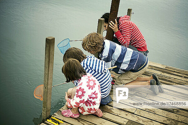 Boys and girls fishing through net on pier