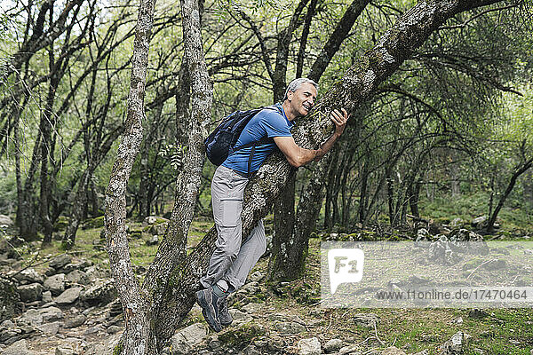 Mature man hugging tree in forest