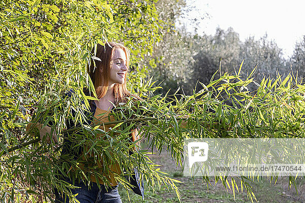 Smiling young woman looking at bamboo plant