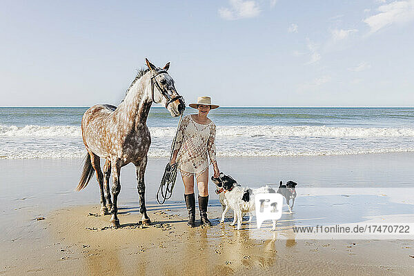 Pregnant woman with horse and dogs at beach