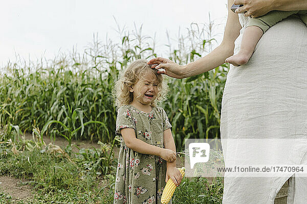 Upset girl crying by mother in corn field
