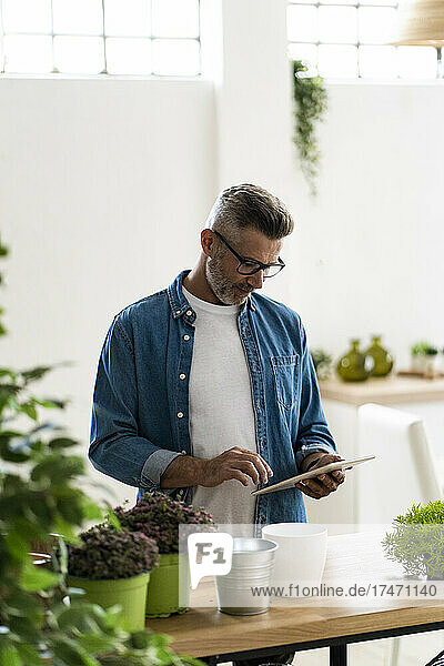 Man with houseplant using digital tablet at home