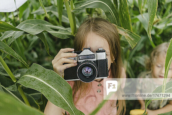 Girl photographing through vintage camera in corn field