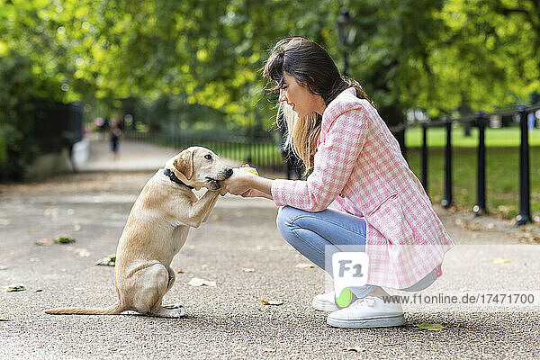 Playful dog biting woman's hand in park