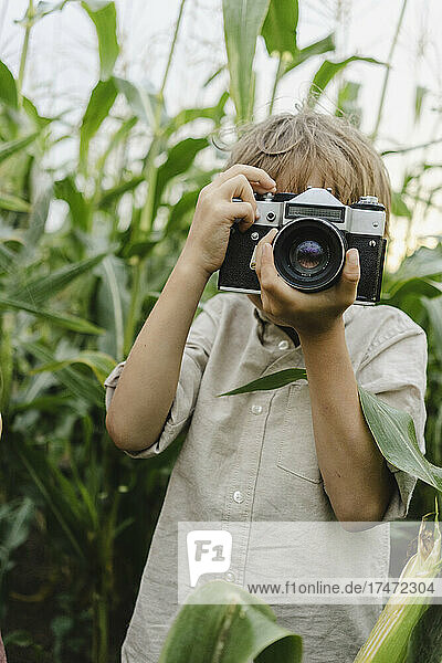 Boy photographing through vintage camera in corn field