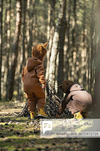 Siblings arranging firewood in forest
