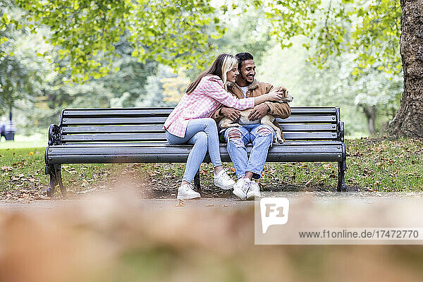 Smiling young woman stroking dog by boyfriend on bench