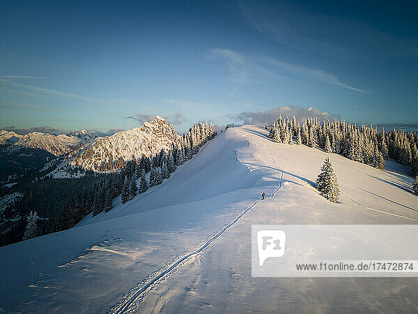 Woman skiing on snowcapped mountain at sunrise,  Schonkahler,  Tyrol,  Austria