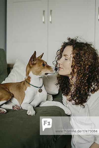 Woman with curly hair looking at Basenji dog