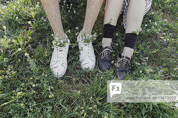Man and woman with flower in shoes on meadow