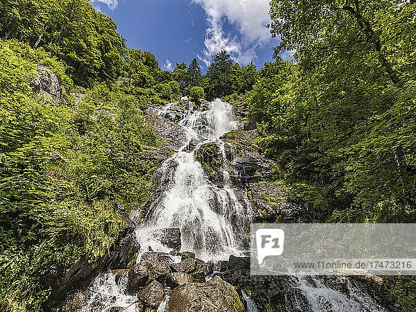 Low angle view of Todtnau Falls in summer