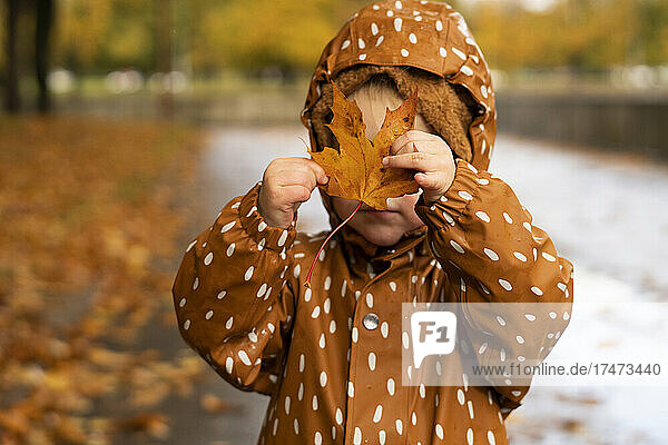 Girl with brown raincoat holding dry leaf in park