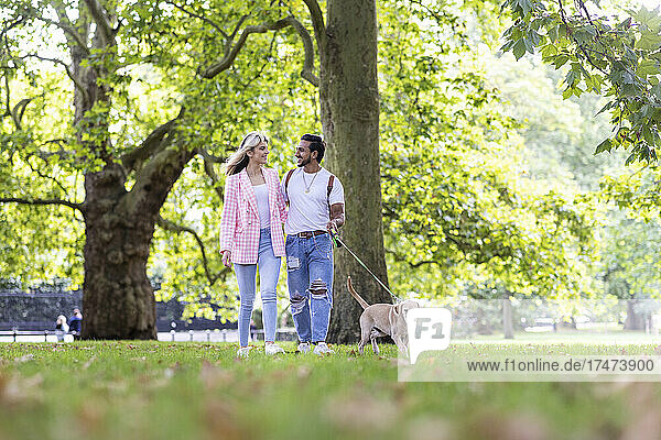 Smiling young couple looking at each other while walking with dog in park