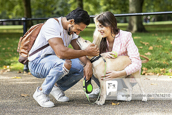 Smiling man and girlfriend stroking dog while crouching in public park