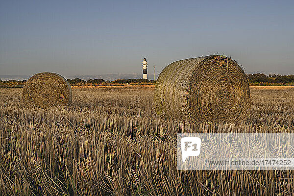 Hay bales drying in field with Kampen Lighthouse in background