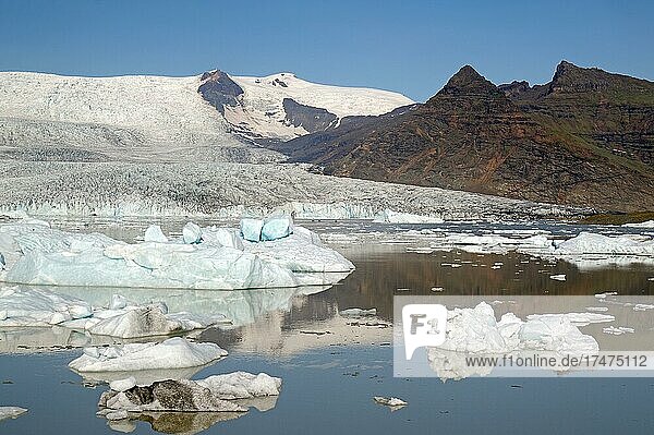 Icebergs and glaciers reflected in a lake  glaciers and mountains in the background  Fjallsarlon  Vatnajökull National Park  Iceland  Europe