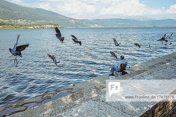 Pigeons in flight in front of a lake with an angler on the shore  Lake Pamvotida  Ioannina  Greece  Europe