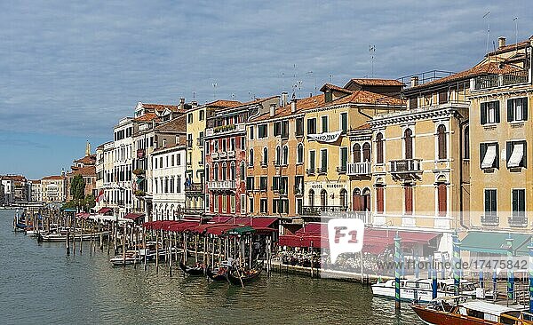 Riva del Vin and Grand Canal  Canal Grande  seen from Rialto Bridge  Venice  Italy  Europe
