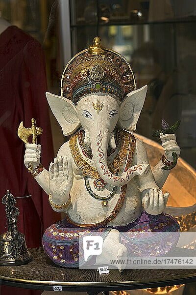 Schaufenster mit indische Elefantengott Ganesha  Bad Wörishofen  Allgäu  Bayern  Deutschland  Europa