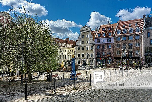 Restaurierte Häuser am Alten Marktplatz  Stettin  Polen  Europa