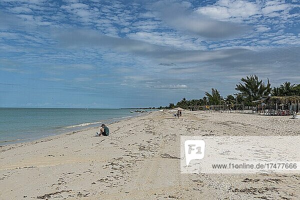 White sand beach in the Rio Celestun Unesco Biosphere Reserve  Yucatan  Mexico  Central America