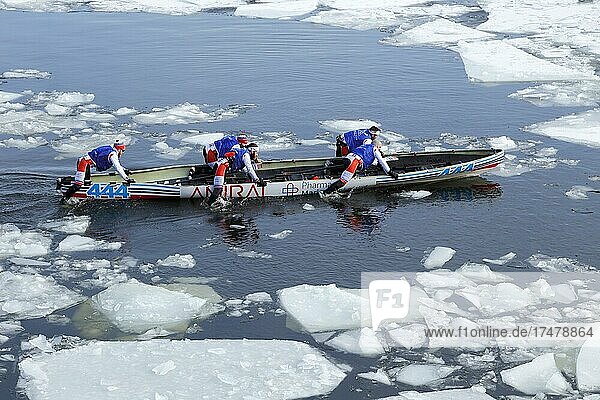 Canoe race on ice  Saint Lawrence River  Montreal  Province of Quebec  Canada  North America