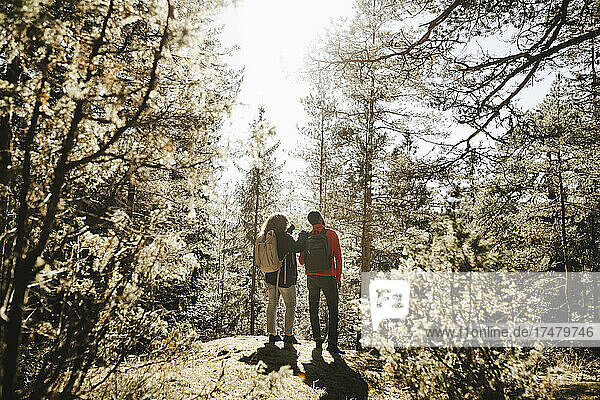 Rear view of couple standing in forest on sunny day
