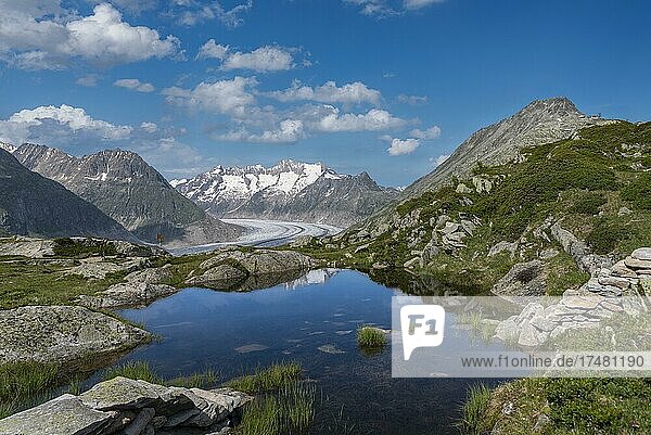 Kleiner Bergsee mit Bettmerhorn und dem Weltnaturerbe Aletschgletscher  Riederalp  Wallis  Schweiz  Europa
