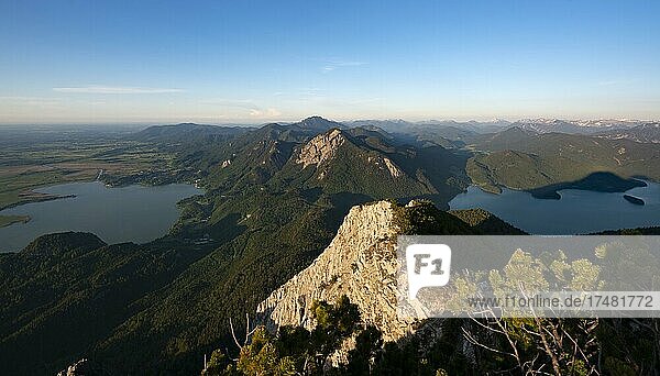 Ausblick vom Gipfel des Herzogstand Panorama mit Kochelsee und Walchensee im Abendlicht Gratwanderung Herzogstand Heimgarten Oberbayern Bayern Deutschland Europa
