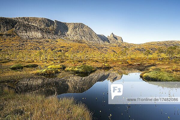 Berg Kulhornet spiegelt sich in kleinem Teich  Efjord  Tysfjord  Ofoten  Nordland  Norwegen  Europa