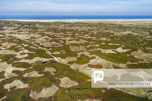Dunes on the North Sea  Island  Lower Saxony Wadden Sea National Park  Spiekeroog  Lower Saxony  Germany  Europe