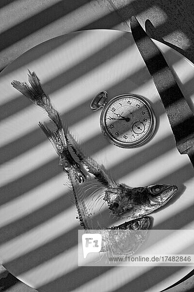 Fünf vor Zwölf  Fischköpfe mit Gräten auf Teller mit Uhr  Uhrzeit  Zeit  Teller mit Messer und Fisch  Taschenuhr zeigt 11:55 Uhr  Fisch mit Gräten  surrealistisches Motiv  Surrealismus