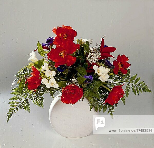 Spring flowers in the vase Clap poppy (Papaver rhoeas)  also poppy  fern  bouquet  Spring flowers in the vase Clap poppy  also poppy  fern  bouquet