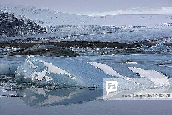 Eisberge in der Gletscherlagune Jökulsárlón  mit Spiegelung  dahinter Gletscher Breiðamerkurjökull  Nationalpark Vatnajökull  Südisland  Island  Europa