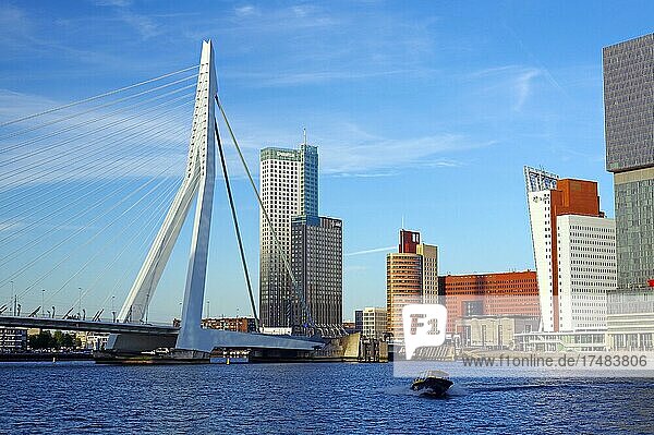 Building and part of the Erasmus Bridge  Rotterdam  South Holland  Netherlands
