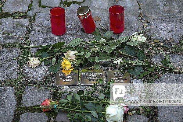 Rosen und Trauerkerzen an drei Gedenksteinen Erinnerung an ermordete Jüdische Mitbürger durch die Naziherrschaft im Dritten Reich 1933-1945 Bamberg Oberfranken Bayern Deutschland Europa