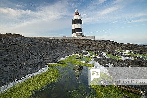 Reflection in the algae at Hook Head Lighthouse  Hook Head  County Wexford  Ireland  Europe
