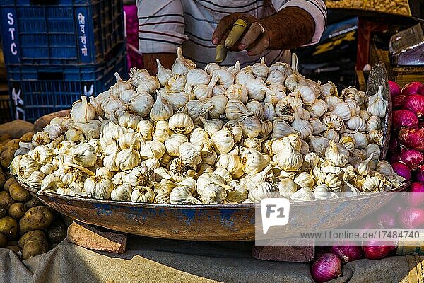 Knoblauch farbenfroher Sandar-Markt Jodpur Jodpur Rajasthan Indien Asien