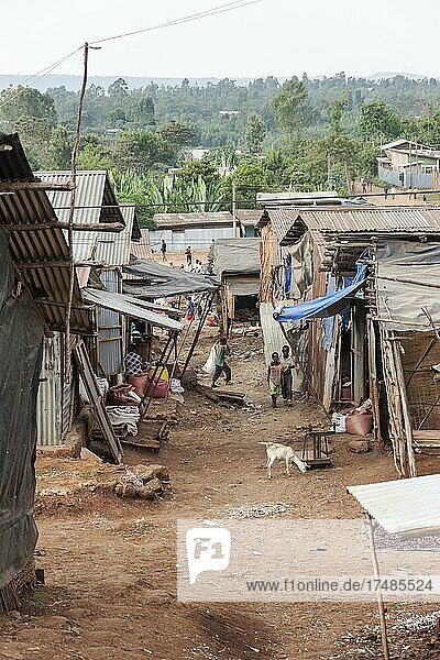 Wohnviertel  Straßenszene  Yirgalem  Äthiopien  Afrika