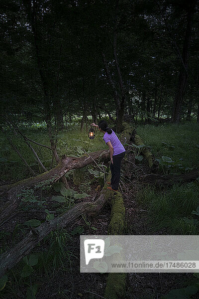 Frau steht auf einem Holzzaun in einem Wald und hält eine Lampe in der Dämmerung.