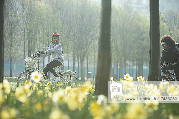 Glückliche Teenager-Freunde  die in einem sonnigen Frühlingspark Fahrrad fahren