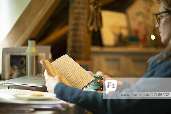 Frau liest Buch am Schreibtisch im Büro zu Hause