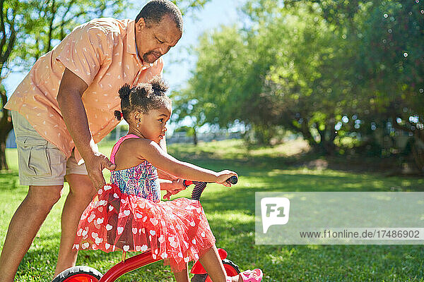 Großvater schiebt Enkelin auf Dreirad im Sommerpark