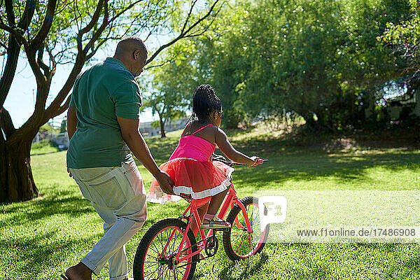 Father pushing daughter on bicycle in sunny summer park grass
