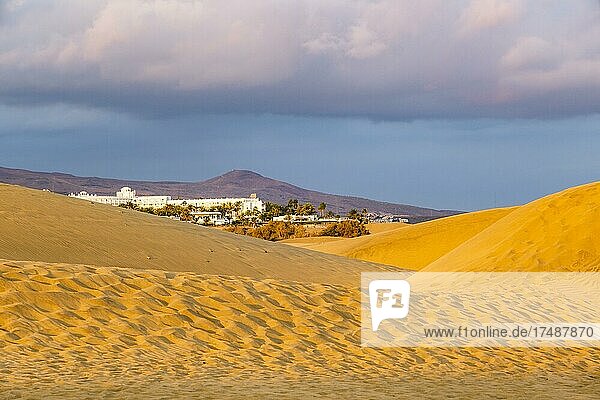 Maspalomas Sand Dunes  Gran Canaria  Canary Islands  Spain  Europe