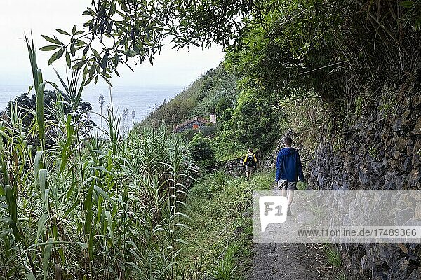 Hikers on the way to Rocha da Relva  Sao Miguel Island  Azores  Portugal  Europe