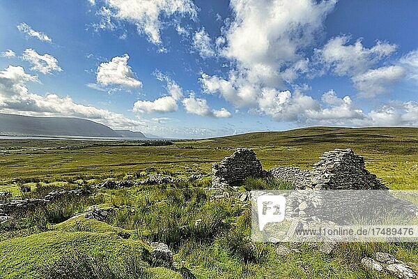 Ruine eines Steinhauses  Cottage auf einer Wiese  Verlassenes Dorf bei Slievemore  Acaill  Achill Island  Mayo  Irland  Europa