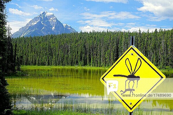 Komposition  riesige Mücke auf Verkehrsschild  Bergsee  Kanada  Nordamerika