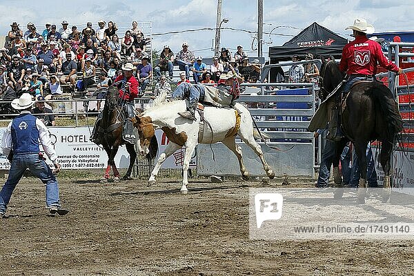 Wettbewerb im Rodeo  Rodeoreiter  Valleyfield Rodeo  Valleyfield  Provinz Quebec  Kanada  Nordamerika